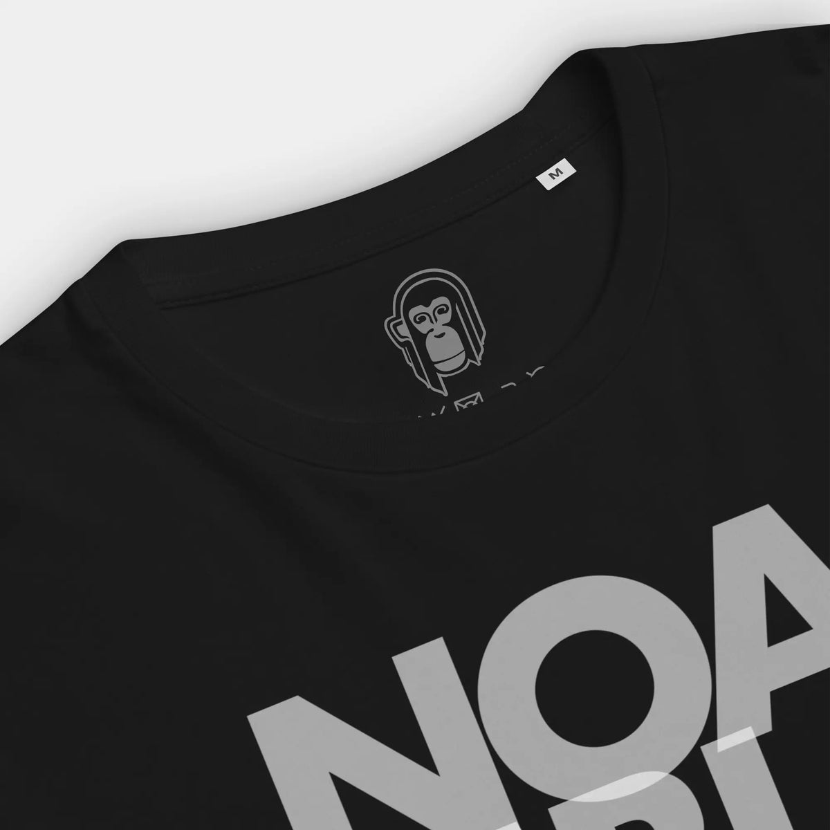 NO AMBITION